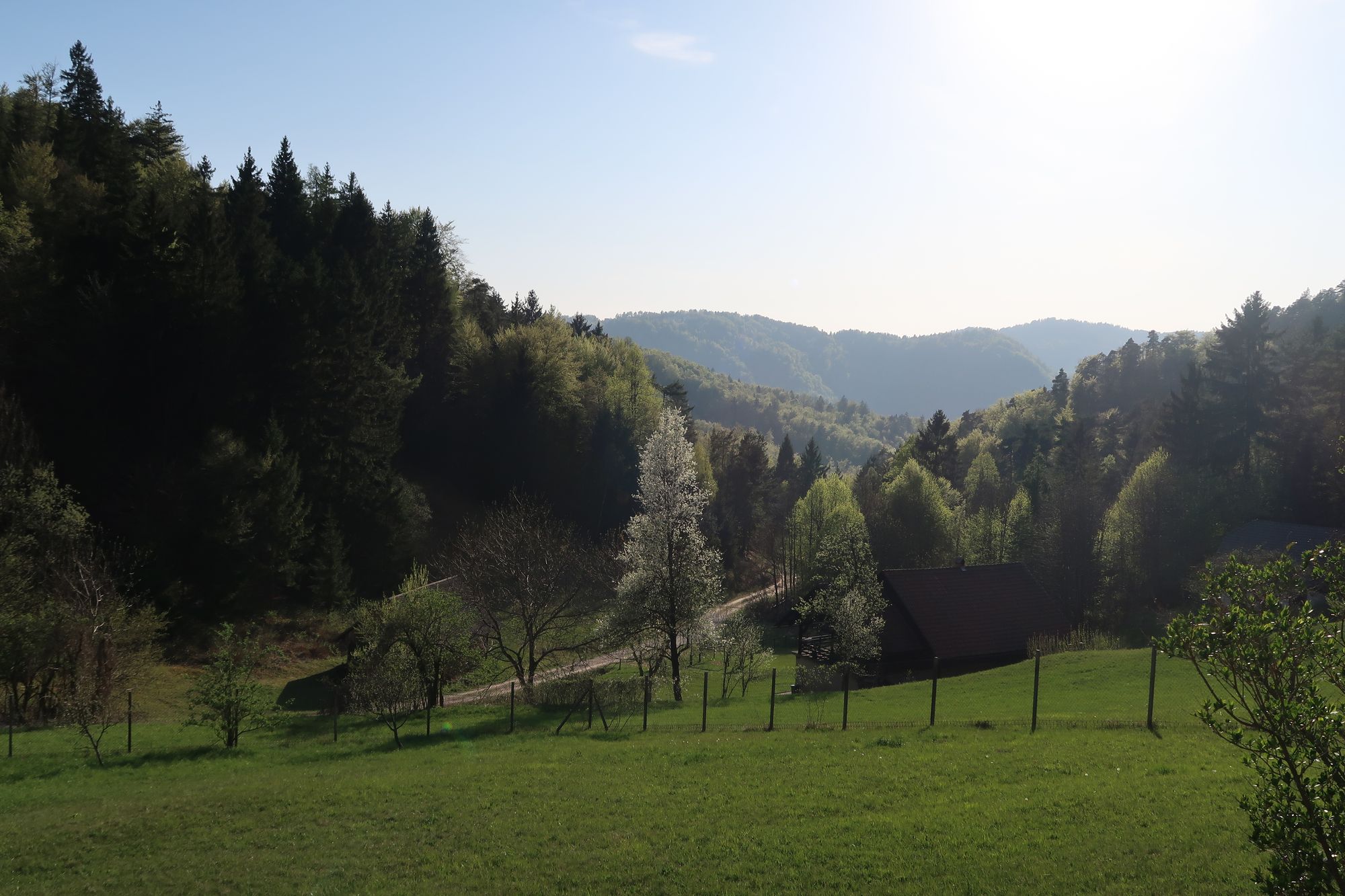 Meadows and forested hills of the Polhov Gradec Hills